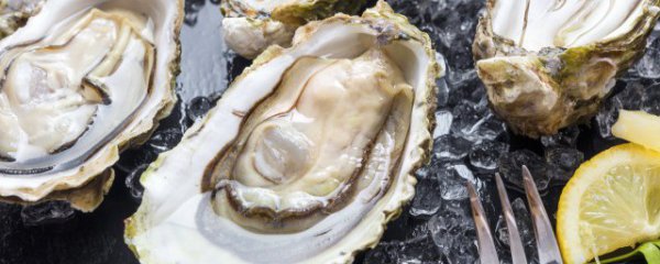 蚝吃多了会怎样