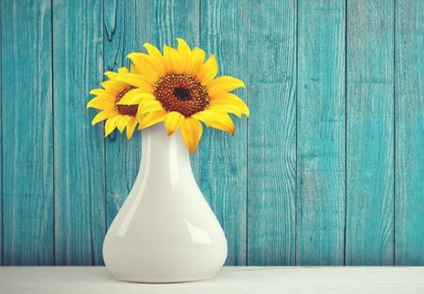 毕业送女朋友什么花好合适