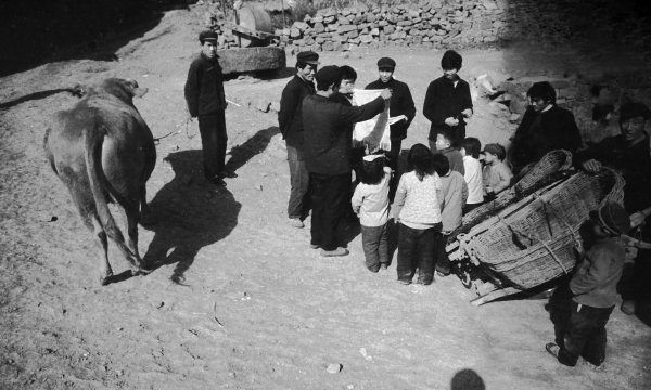 临沂是哪个省的城市