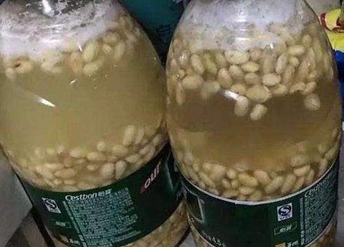 绿萝吊兰浇灌什么肥水叶片油绿光亮