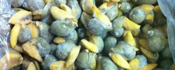 新鲜鲍鱼螺如何保鲜