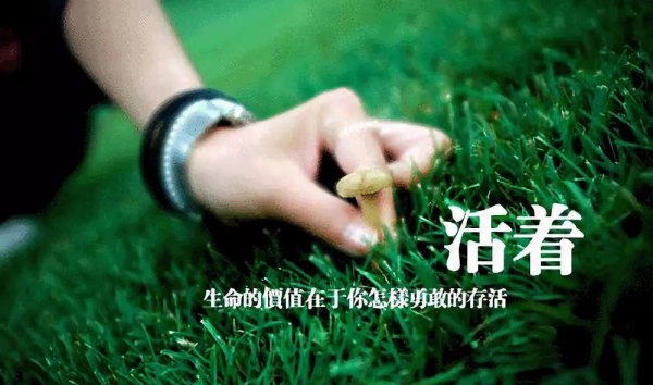 生活中美好的礼物有哪些