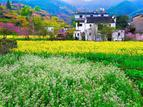 上饶旅游必去十大景点