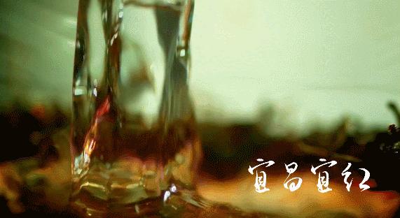 正宗红茶品牌排行榜前十名