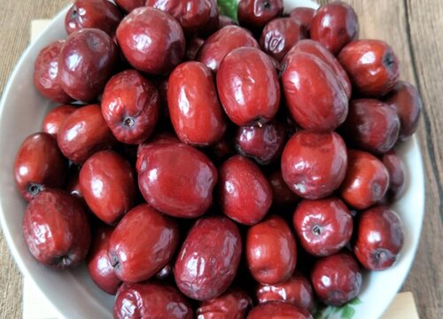 中国十大名枣排名榜