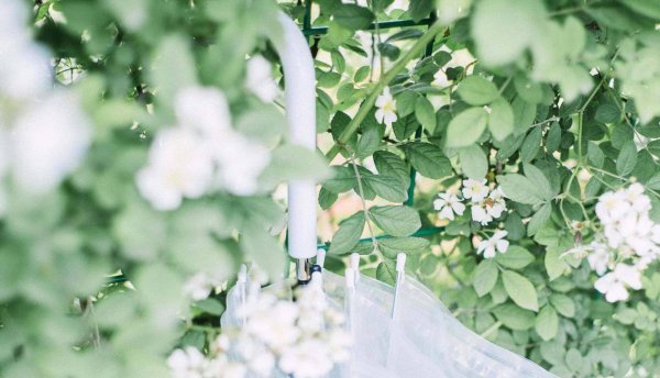 天蝎座男和处女座女配吗