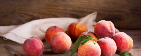 桃子是热性还是凉性水果