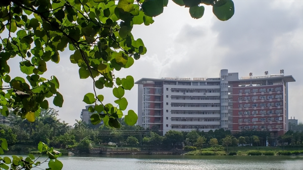 华南农业大学是双一流大学吗
