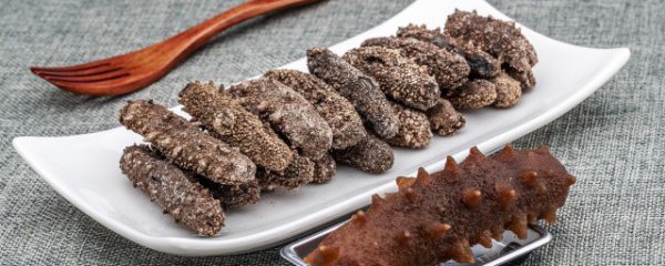 土耳其海参几天能泡发好