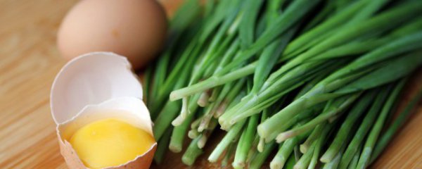 东北韭菜如何储存保鲜多久