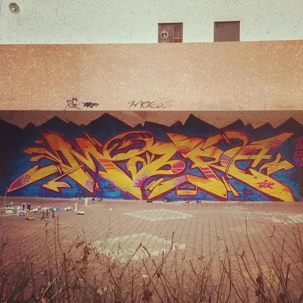 陈十三个人资料简介