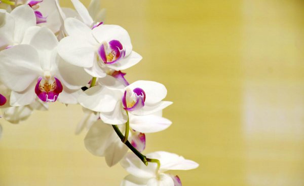 50岁女人退休无聊做点什么