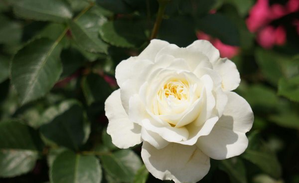 50岁女人退休无聊做点什么