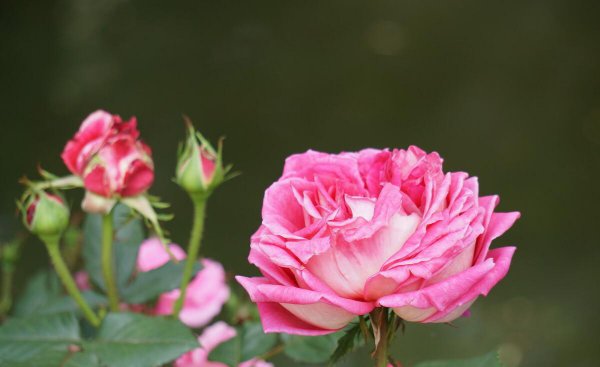 50岁女人退休无聊做点什么