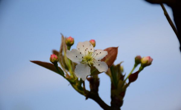 50岁女人退休无聊做点什么