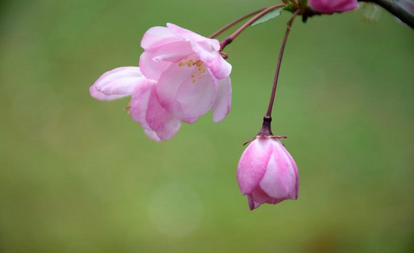 50岁女人退休无聊做点什么