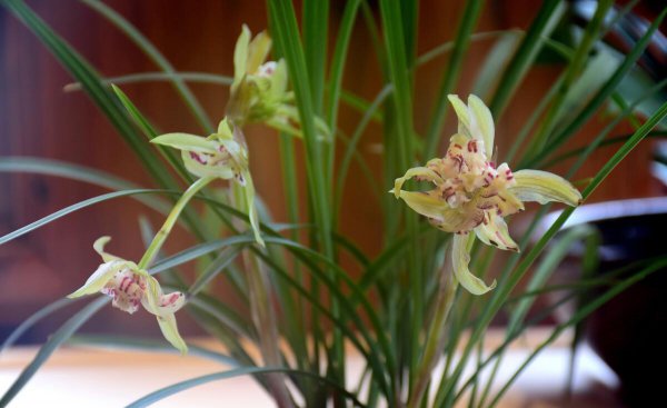 50岁女人退休无聊做点什么