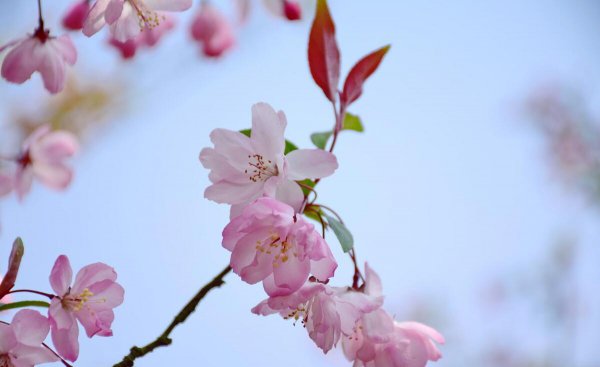 50岁女人退休无聊做点什么