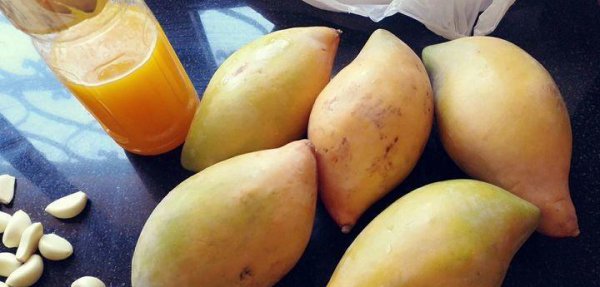 苏丹是哪个国家