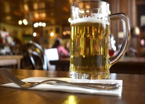 发财树、橡皮树如何浇灌啤酒长势更喜人