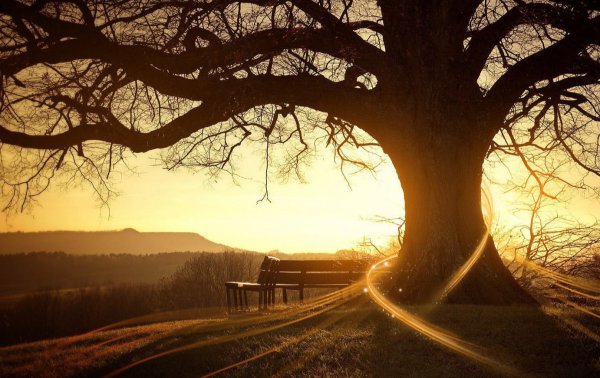 男生愿意与女生闲聊吗