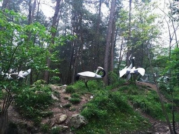 缙云有什么好玩的景点介绍