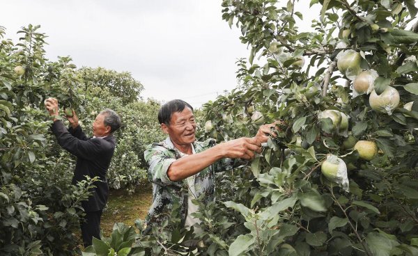 连云港是哪个省市的