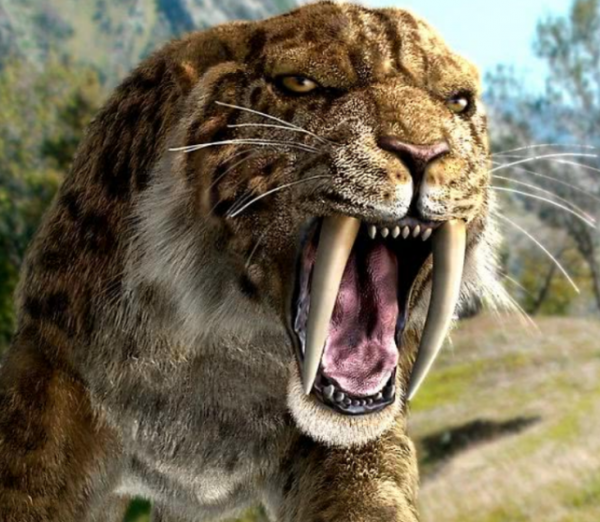 熊猫在地球上已存在多少年了