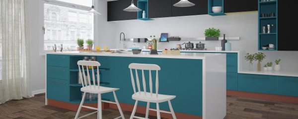 餐桌上适合摆什么植物