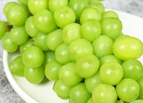 青提是热性还是凉性