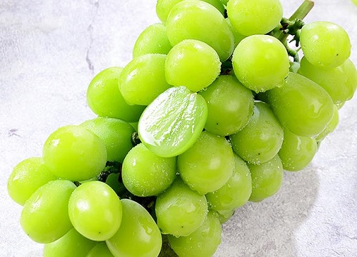 青提是热性还是凉性