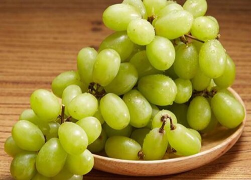 青提是热性还是凉性