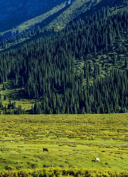 中国世界自然遗产都有哪里