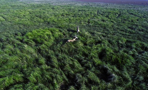 中国世界自然遗产都有哪里