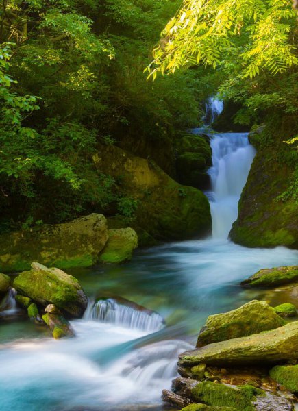 中国世界自然遗产都有哪里