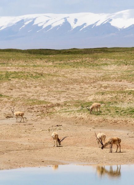中国世界自然遗产都有哪里
