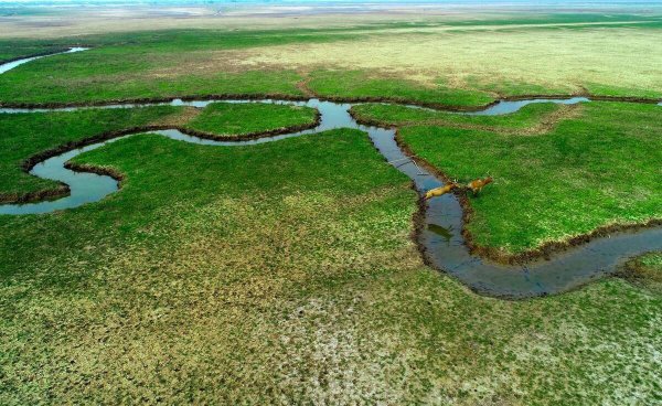 中国世界自然遗产都有哪里