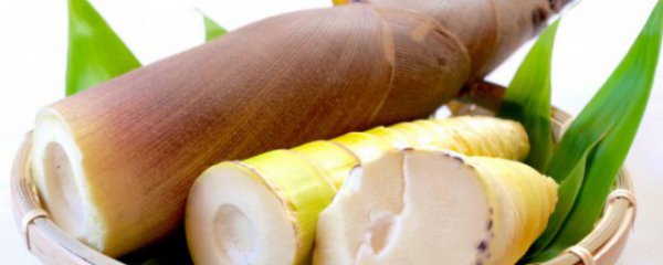 笋可以切完直接晒吗