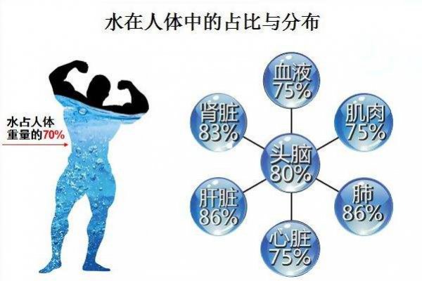 人几天不喝水会死