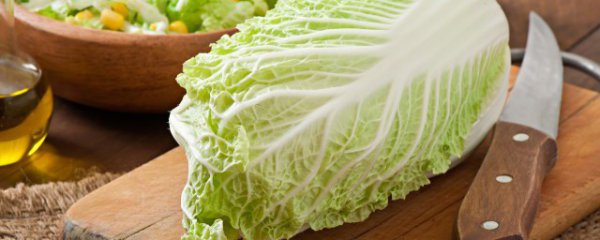 白菜生的能吃吗