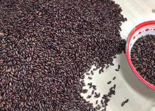 豆角几天发芽出苗