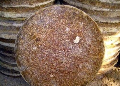 豆饼水浇花的正确方法