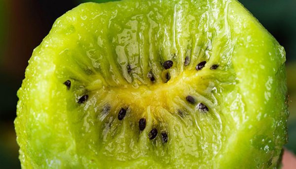 维c含量高的水果排行