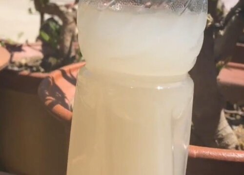 淘米水可以直接浇花吗