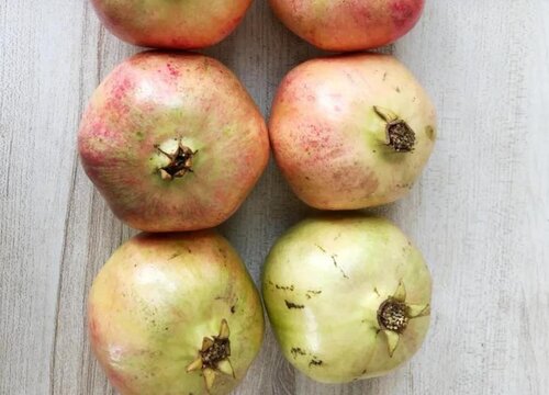 中国石榴十大排名