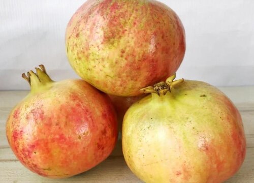 中国石榴十大排名