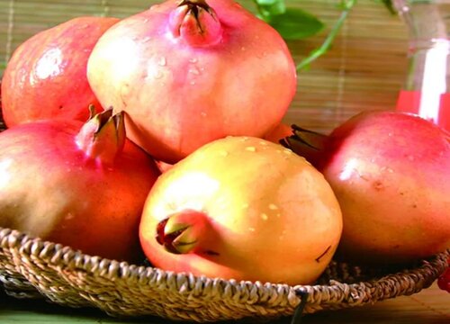 中国石榴十大排名