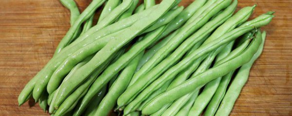 四季豆是凉性还是热性