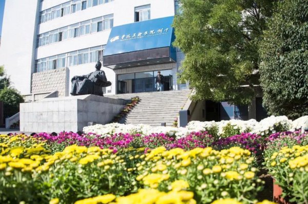 鲁迅美术学院是一本二本