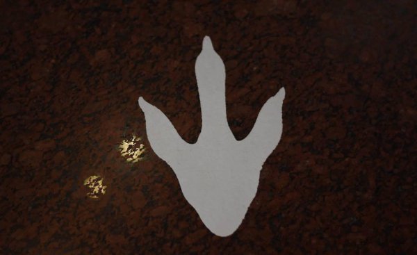 关于恐龙灭绝的假说